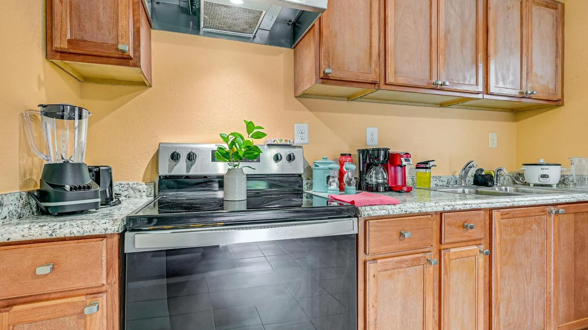 Appartement Tampa Vacation Rental About 3 Mi To Busch Gardens!